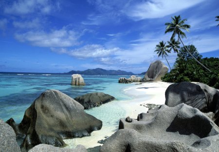 Beach - palms, nature, beach, sea