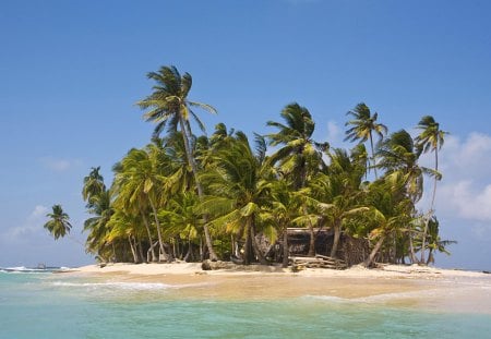 The beach - nature, beach, the, beautiful