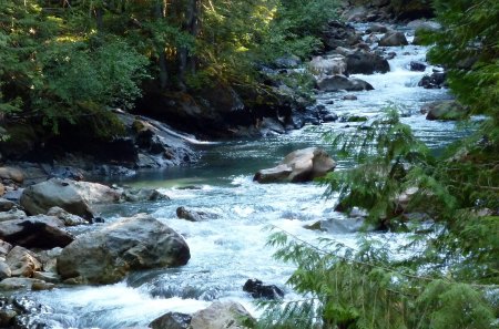 Nooksack River - evergreen, trees, pacific northwest, forest, washington, firefox persona, rapids, river, rocks