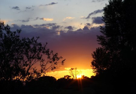 Sundown at the River - trees, evening, colors, silouette, sunset, bright, dusk, cloudy, sky