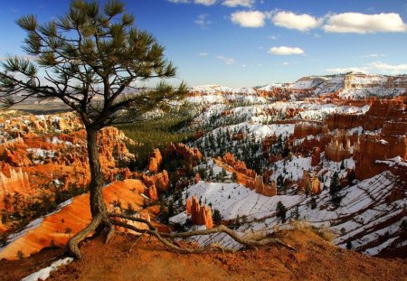 Canyon Peaks - peaks, spikes, canyon, sky