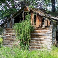 Old Log House