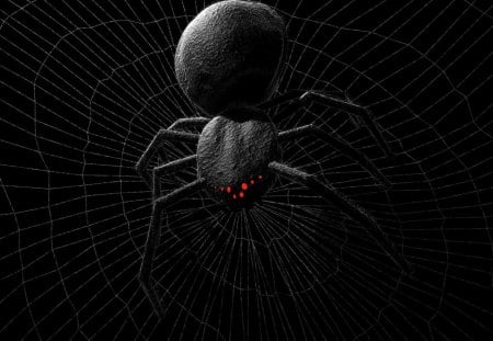 Sat Down Beside You - dark, web, black, spider