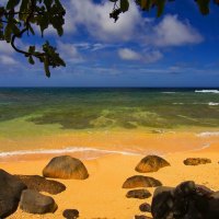 beach-and-coconut