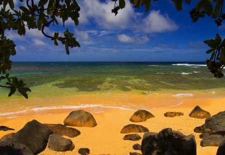 beach-and-coconut - clouds, coconut, nature, beach, rock, sky