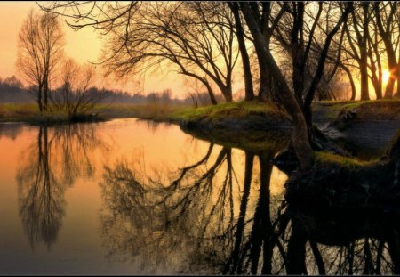 The Pond - evening, sunset, nature, pond