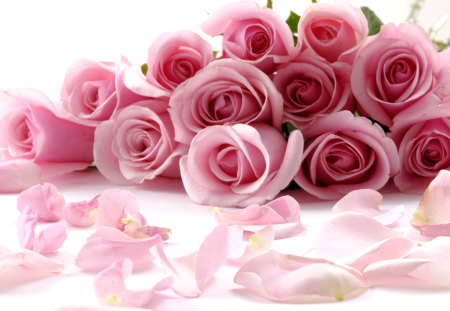 petals-roses - roses, petals, pink, 3d, flowers