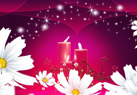 Candle Glow on Daisies - stars, pink bright, candles, daisy, flame, bright, glow, flowers, firefox persona