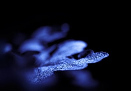 Blue - texture, abstract, black, blue