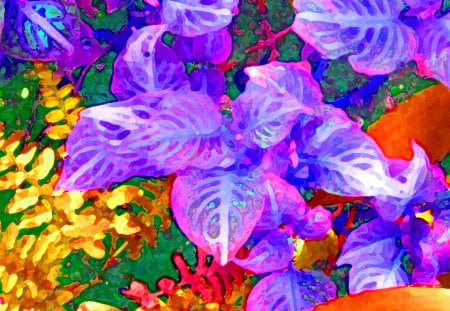 Purple Plant with Fern - flower, purple, fern, plant, colorful