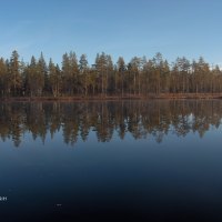 clear morning at the pond