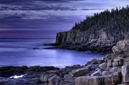 BLUE OCEAN - sky, forest, cliffs, clouds, ocean, blue