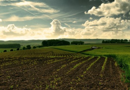 Farmer's Field - dirt, clouds, field, sky