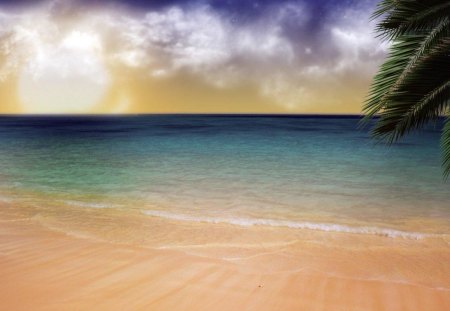 Calm - beach, ocean, tree, sand