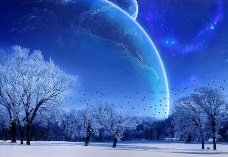 Winter - sky, planet, trees, snow