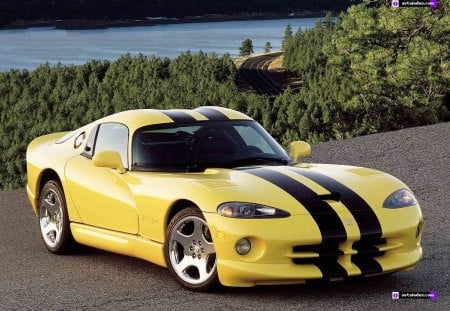 Dodge Viper - cars, dodge, yellow, viper