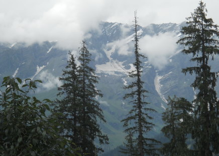 snow mountain - snow, clouds, trees, mountain