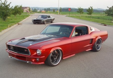 Mustang - tuned, mustang, red, american, black