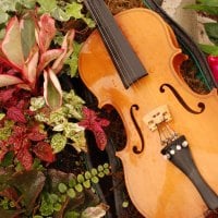 Music of Flowers