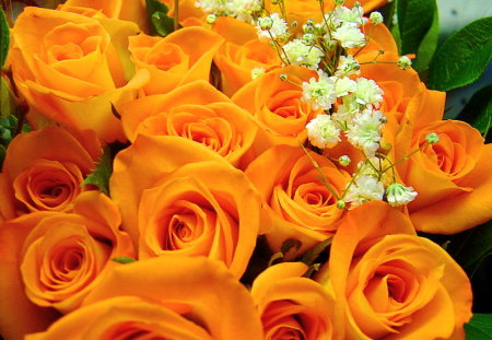 Autumn roses for my D.N. friends - flowers, roses, green, orange, bouquet