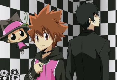 hitman reborn sawada and hibari - sawada, hitman, and hibari, reborn