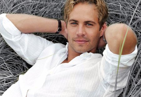 Paul Walker - blonde, handsome, actor, man