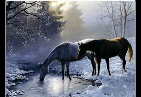 Horses pond - free, animal, sunset, water, run, snow, horse