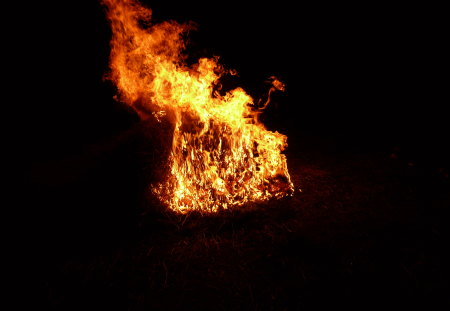 fire 2 - nature, night, fire, light