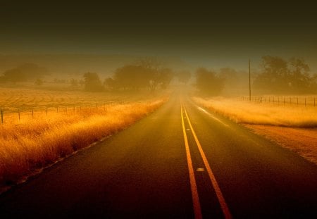 WHERE THIS ROAD LEADS? - fence, trees, fog, field, road, straight