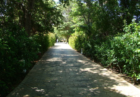 Punta Cana - paths, greenery, roads, vacation