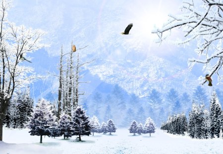 Northwest Winter Day - trees, winter, snow, forest, firefox persona, owl, eagle, cold, mountains, chickadee