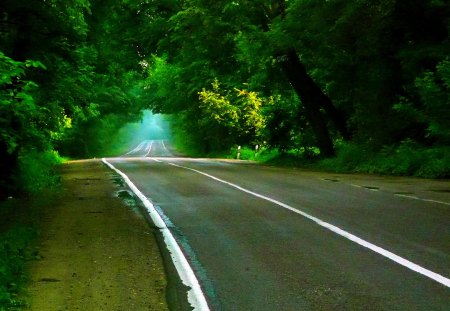 ENDLESS JOURNEY - green, forest, road, journey