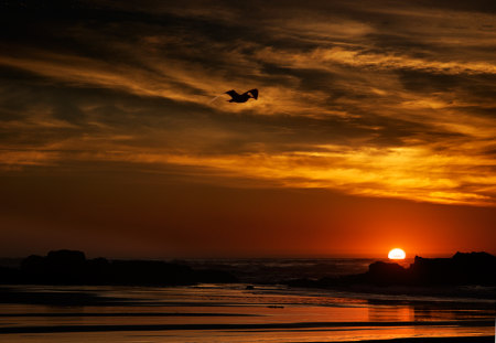 Red sunset - sky, red sun, clouds, red, sunset