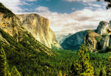 Yosemite Valley - yosemite national park, splendor, landscape, forest, leaves, view, yosemite, sky, woods, clouds, trees, beautiful, beauty, lovely, valley, tree, nature, green, mountains, peaceful