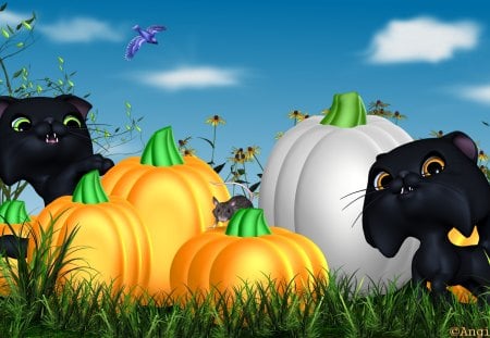 Playing in the pumpkins - animal, holiday, autumn, toon, halloween, pumpkin, cat