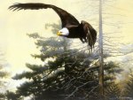 Eagle painting