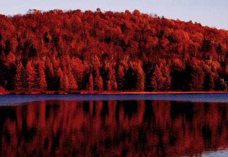 Red autumn - trees, water, image, amazing, landscape, beauty, forest, reflection, nature, autumn, red, background, lakes