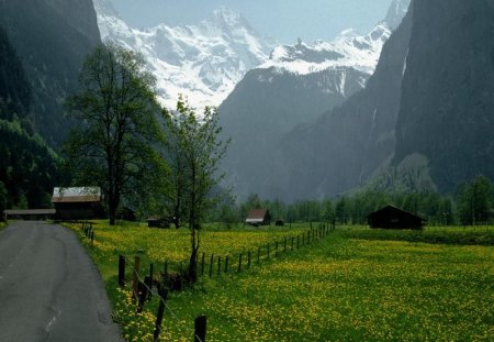 Field at the Bottom - sky, tree, mountain, grass