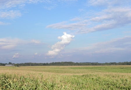 Clouds - nature, sky, blue, clouds