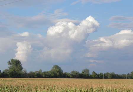 Clouds - clouds, nature, blue, sky