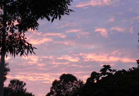 Pink Clouds - nature, sky, clouds, pink