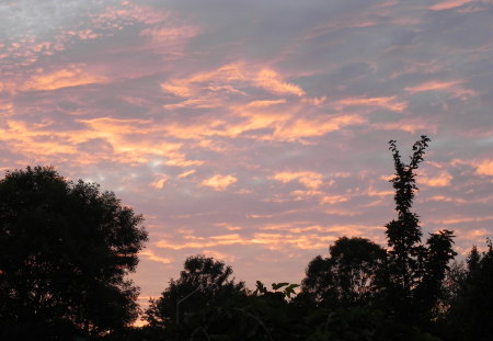 Pink Clouds - nature, sky, clouds, pink