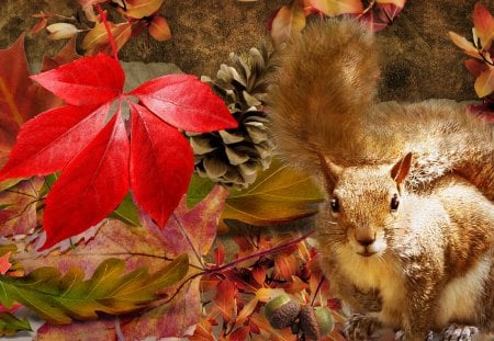 Squirrel Autumn - fall, autumn, acorns, cone, firefox persona, squirrel, leaves