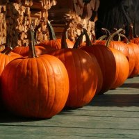 Ready to Carve The Pumpkin