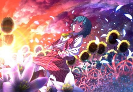 Kazami Yuuka - sunflowers, petals, anime, kazami yuuka, flowers, sunset