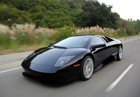 Black Pony - sports, black, car, automobile, supercar, murcielago, lamborghini, sportscar