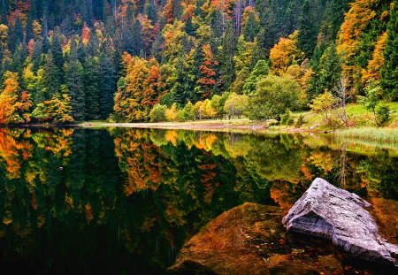 Lake in autumn - fields, autumn, landscape, trees, brown, forest, reflection, beautiful, leaves, golden, rock, lake autumn, scene, herbst