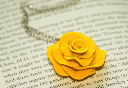 For someone precious (♥) - sunny, yellow, romantic, fashion, entertainment, gorgeous, friendship precious, forever, beautiful, present, together, love, you, life, wonderful, me, necklace, silver, rose, gift