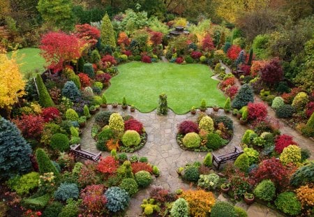 Autumn Color - autumn, home, japanese, garden