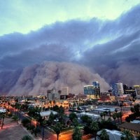 Dust Wall Swallowing Phoenix